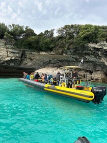 Desde Porto-Vecchio: crucero turístico por el archipiélago de Lavezzi