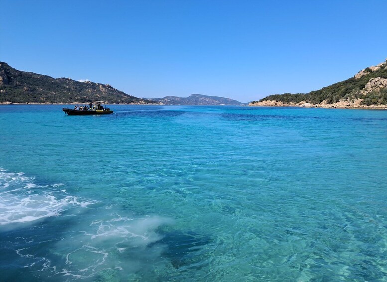 Picture 5 for Activity Porto-Vecchio : Discover Nature Through the Lavezzi Islands