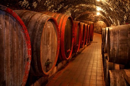 Azuga Winery Dagstur fra Brasov
