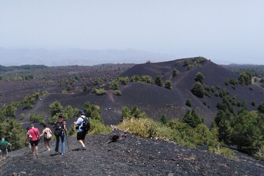 Private Tour of Mount Etna with Etna Doc Wine Tasting