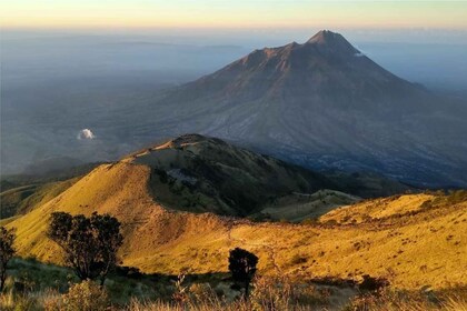 From Yogyakarta: Mount Merbabu Sunrise & Sunset Hike