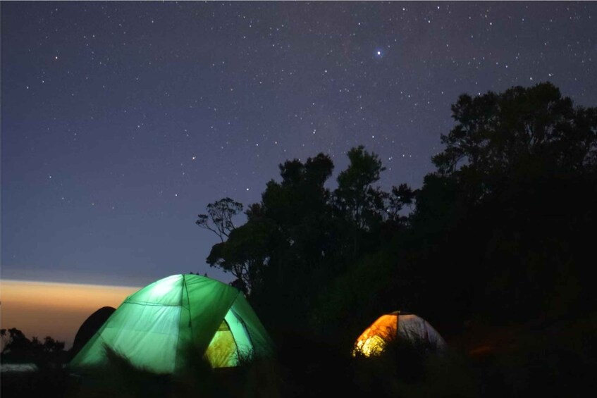 Picture 2 for Activity From Yogyakarta: Mount Merbabu Sunrise & Sunset Hike