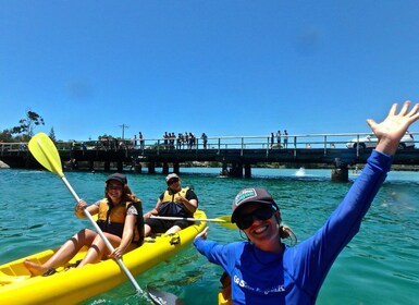 Byron Bay : Brunswick River Scenic Kayak Tour