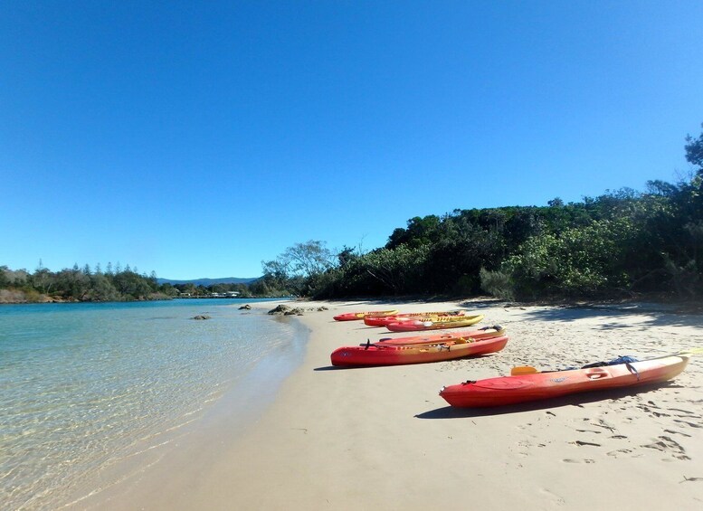 Picture 6 for Activity Byron Bay: Brunswick River Scenic Kayak Tour