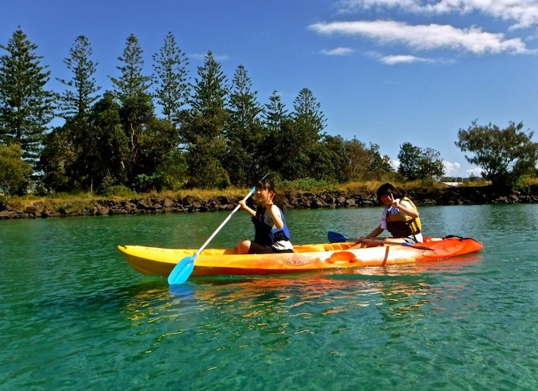 Picture 3 for Activity Byron Bay: Brunswick River Scenic Kayak Tour