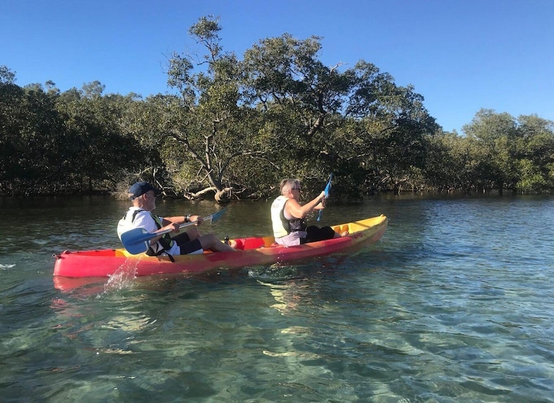 Picture 5 for Activity Byron Bay: Brunswick River Scenic Kayak Tour