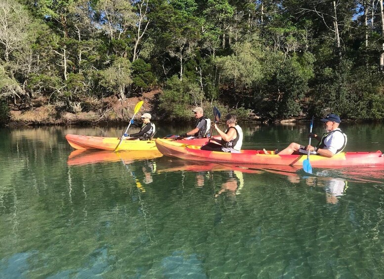 Picture 4 for Activity Byron Bay: Brunswick River Scenic Kayak Tour