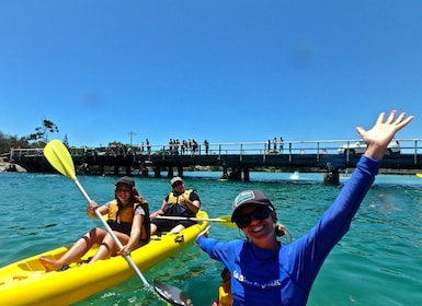 Byron Bay: Brunswick River Scenic Kayak Tour