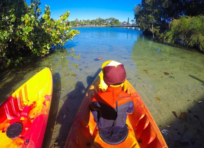 Picture 8 for Activity Byron Bay: Brunswick River Scenic Kayak Tour