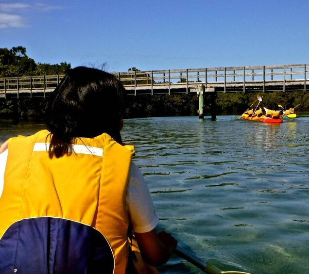 Picture 7 for Activity Byron Bay: Brunswick River Scenic Kayak Tour