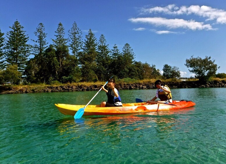 Picture 3 for Activity Byron Bay: Brunswick River Scenic Kayak Tour