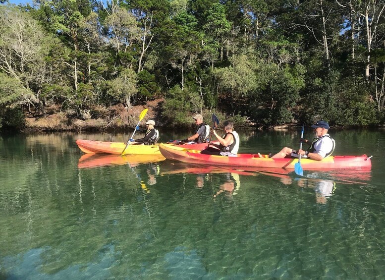 Picture 4 for Activity Byron Bay: Brunswick River Scenic Kayak Tour