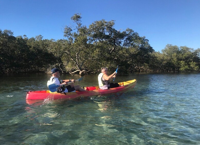 Picture 5 for Activity Byron Bay: Brunswick River Scenic Kayak Tour