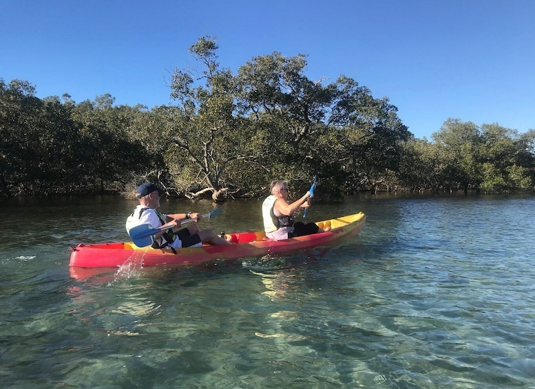Picture 5 for Activity Byron Bay: Brunswick River Scenic Kayak Tour
