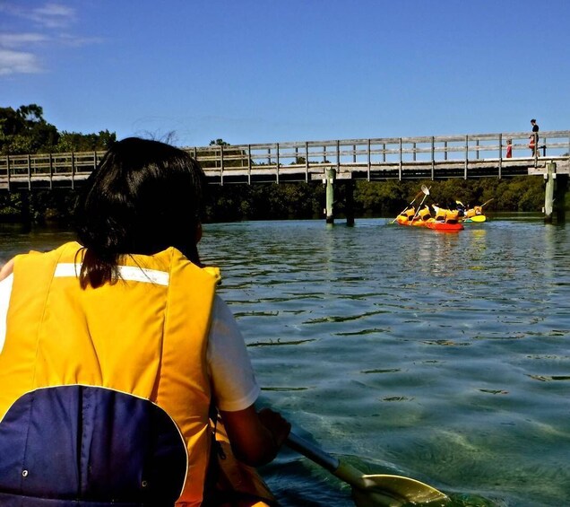 Picture 7 for Activity Byron Bay: Brunswick River Scenic Kayak Tour