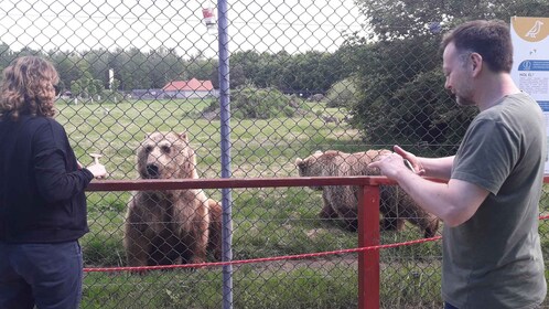 Budapest: Transport & Guided Tour of Bear and Wolf Sanctuary