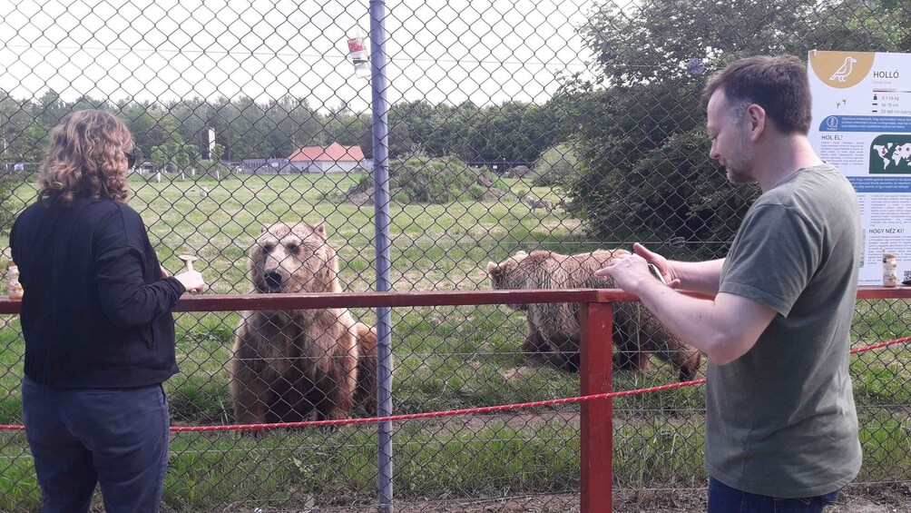 Budapest: Transport & Guided Tour of Bear and Wolf Sanctuary