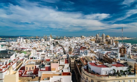 Cádiz: tour por el Teatro Romano, la Catedral y la Torre Tavira