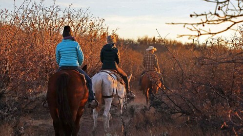 East Zion: Pine Knoll Horseback Tour