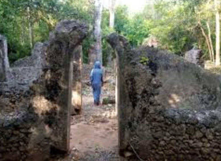 Picture 4 for Activity Malindi: Full-Day City Highlights Tour with Gede Ruins