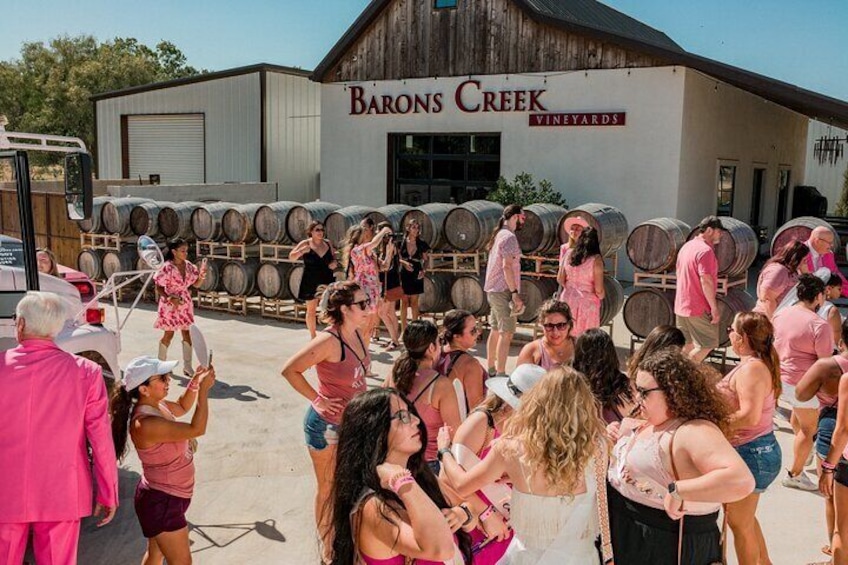 Half-Day Winery Tour in Fredericksburg