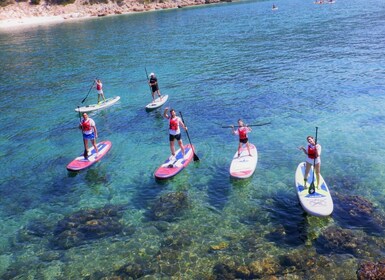 SUP Arrábida: Stand Up Paddleboard Tour