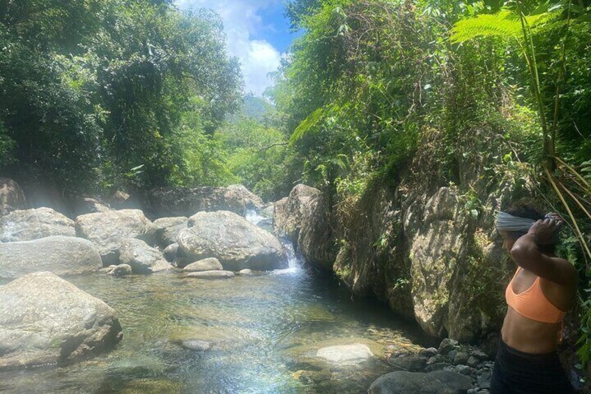 Early Bird River and Hike Adventure in El Yunque Rain Forest