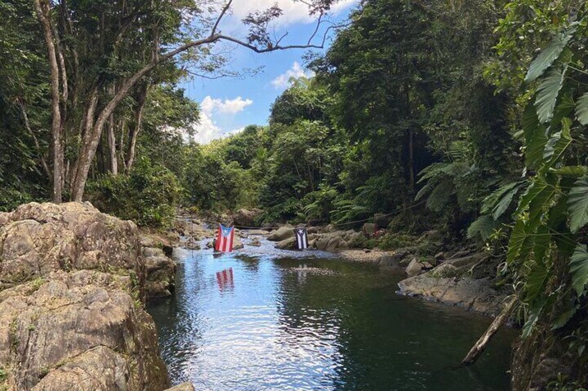 Early Bird River and Hike Adventure in El Yunque Rain Forest