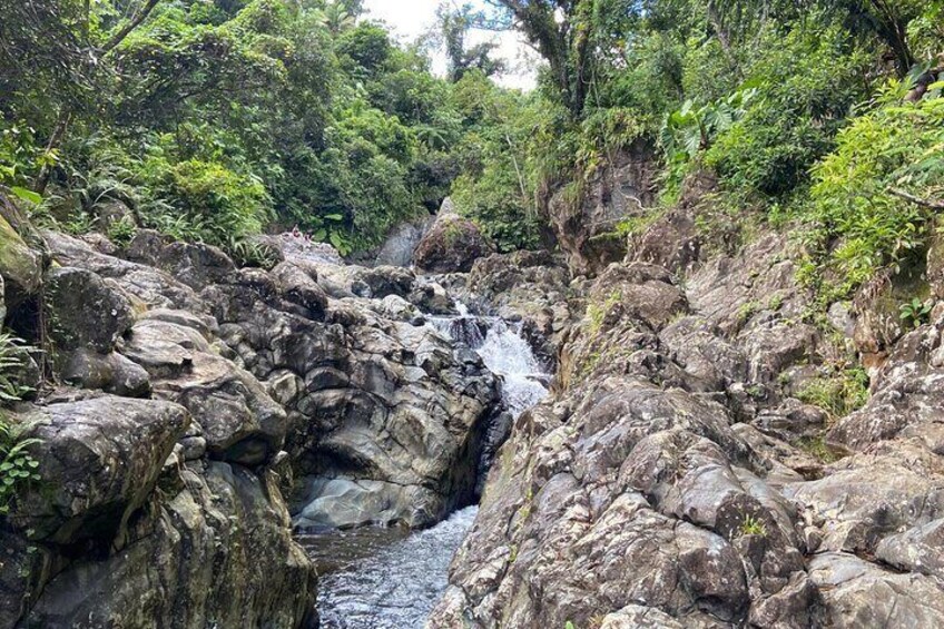 Early Bird River and Hike Adventure in El Yunque Rain Forest