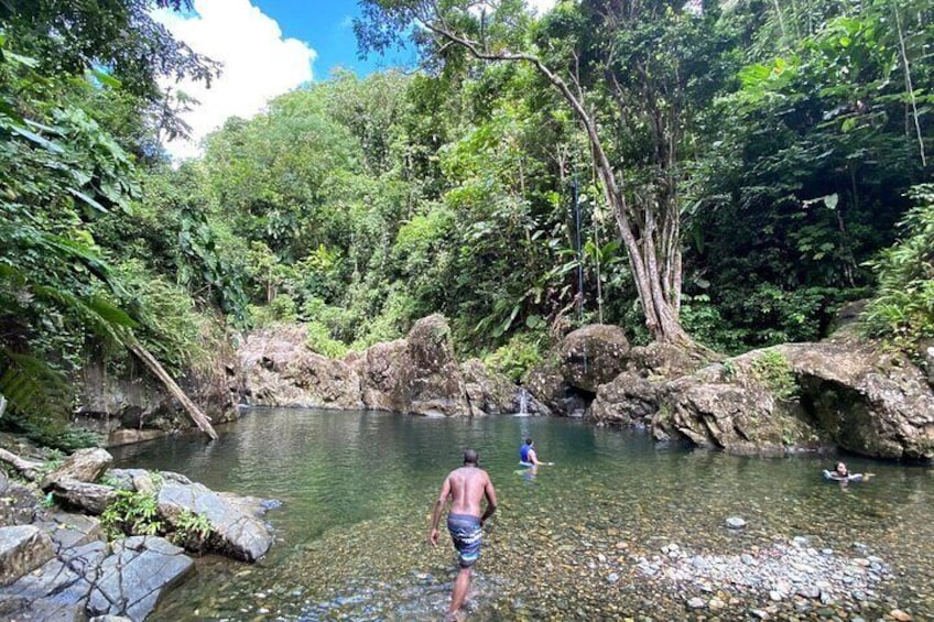 El Yunque Rainforest Morning River and Hike Adventure