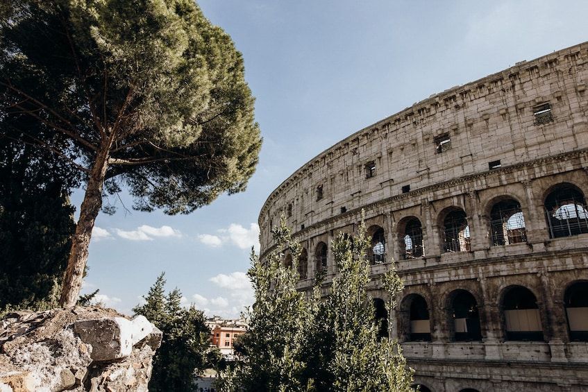 Skip-the-line: Colosseum & Forum Tour with Special Gladiatorâs Gate & Arena Floor Access