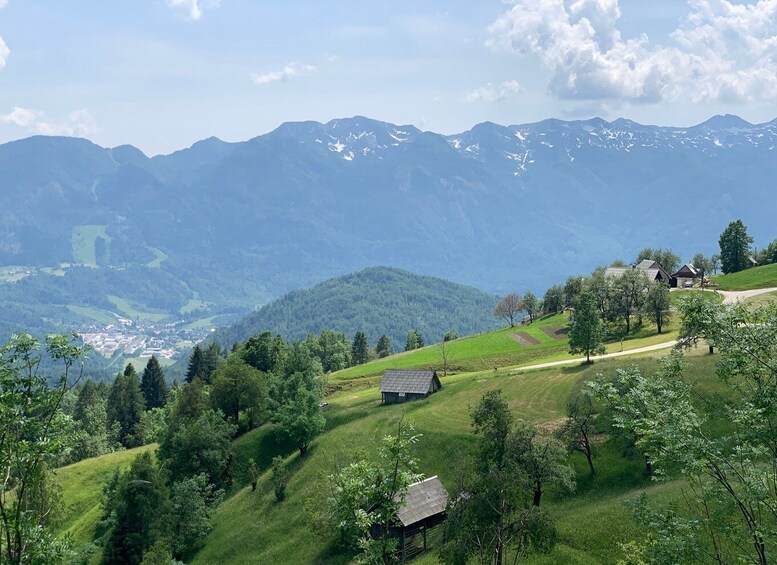 Picture 2 for Activity Triglav National Park Tour from Bled