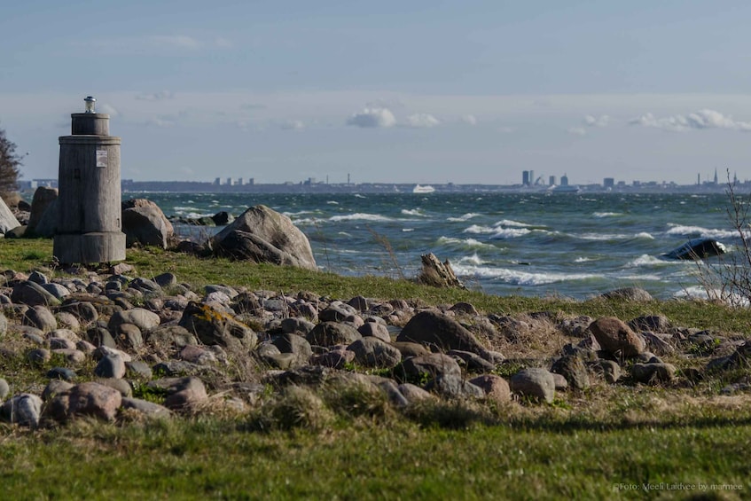 Picture 3 for Activity Tallinn: Top Attractions and Viimsi Open Air Museum