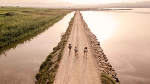 Tarragona: Excursión en Bicicleta al Corazón Pesquero del Delta del Ebro