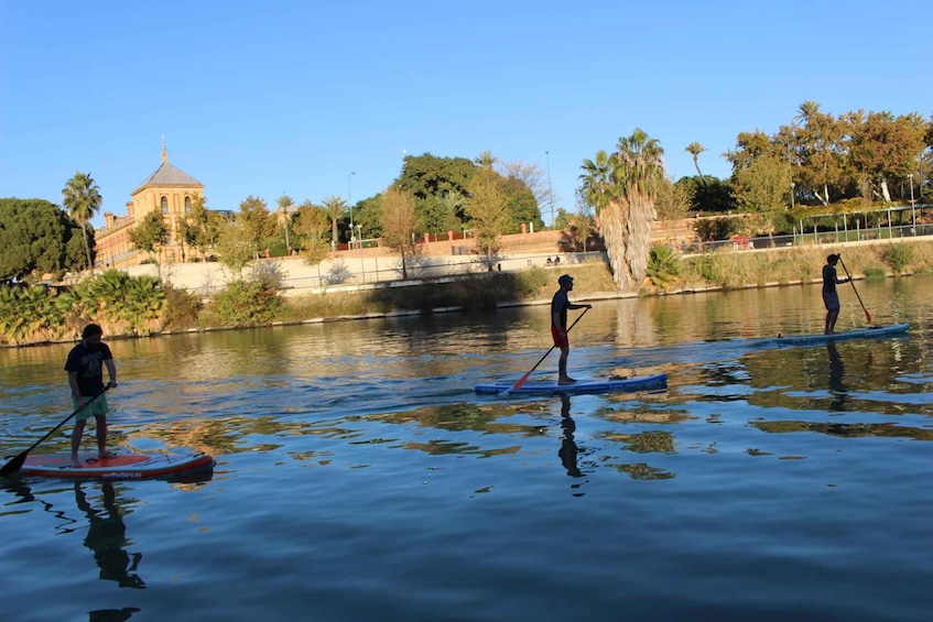 Picture 2 for Activity Seville: 1.5-hour Stand-Up Paddleboarding Tour