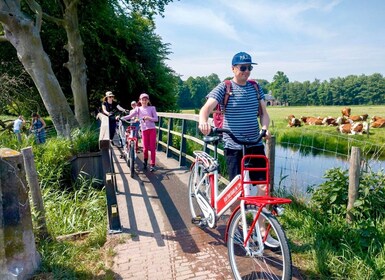 Sykkeltur med høydepunkter i Haarlem