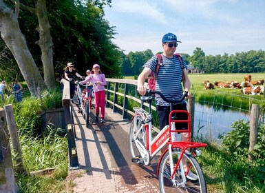 Sykkeltur med høydepunkter i Haarlem