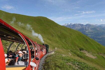 Zúrich: tour alpino panorámico privado