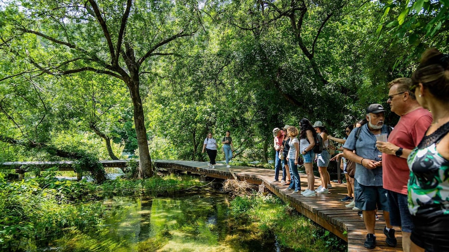 From Split: Krka Waterfalls Cruise & Trogir Walking Tour