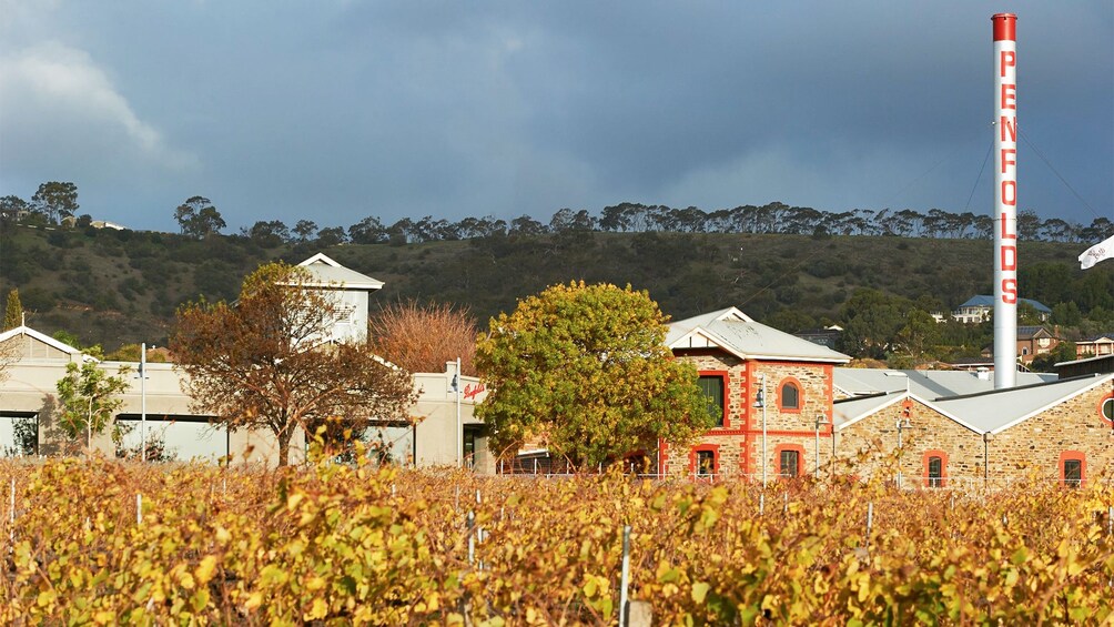 Wine Tasting Tour of Penfolds Magill Estate & 3-Course Lunch