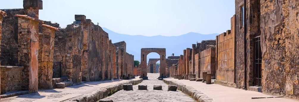 Pompeii: Archaeological Site Entry and Guided Tour
