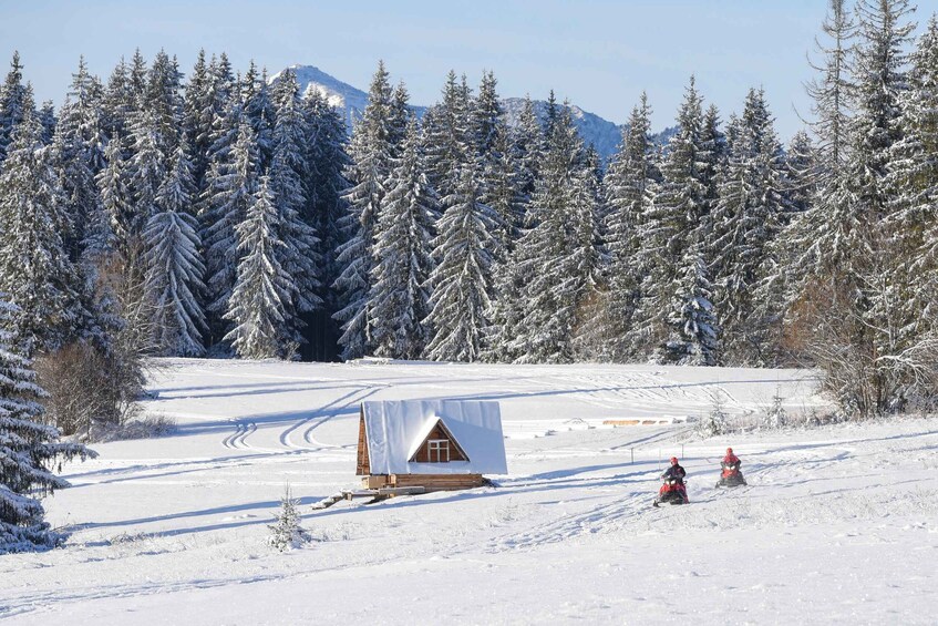 Picture 8 for Activity Zakopane: Snowmobiles Expedition and Optional Bonfire