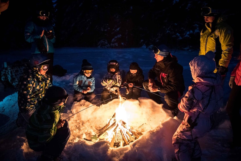 Picture 3 for Activity Zakopane: Snowmobiles Expedition and Optional Bonfire