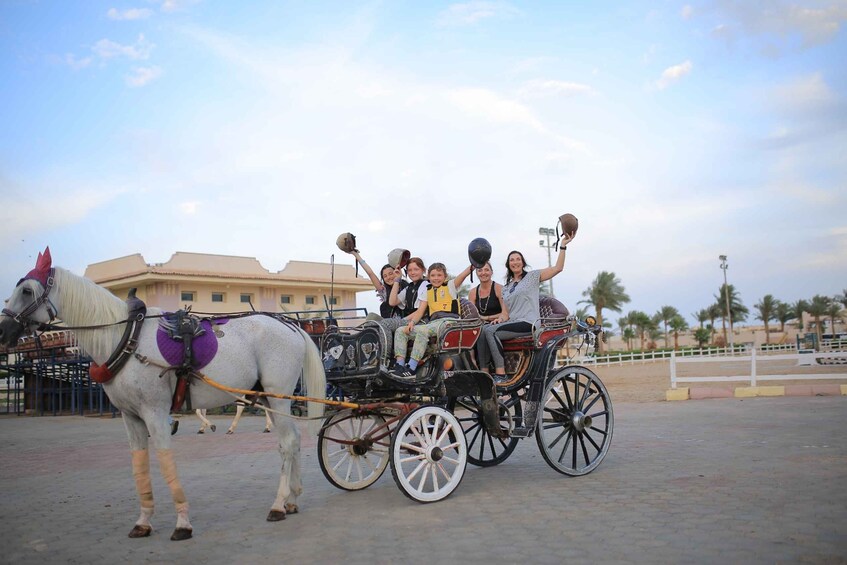 Picture 10 for Activity Sharm El Shiekh: Beach and Desert Horse Riding Tour