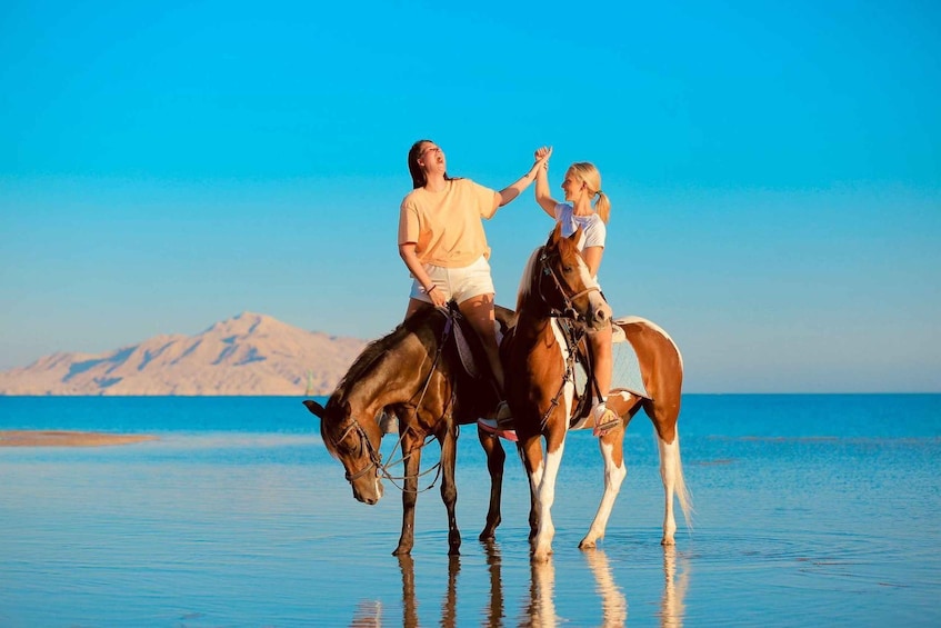 Picture 6 for Activity Sharm El Shiekh: Beach and Desert Horse Riding Tour