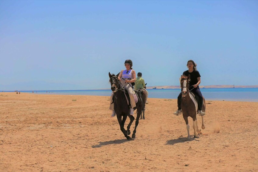 Picture 13 for Activity Sharm El Shiekh: Beach and Desert Horse Riding Tour