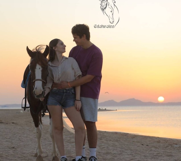 Picture 16 for Activity Sharm El Shiekh: Beach and Desert Horse Riding Tour