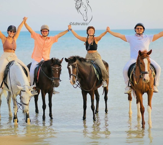 Picture 1 for Activity Sharm El Shiekh: Beach and Desert Horse Riding Tour