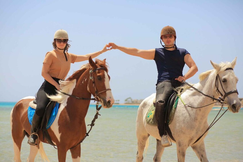 Picture 20 for Activity Sharm El Shiekh: Beach and Desert Horse Riding Tour