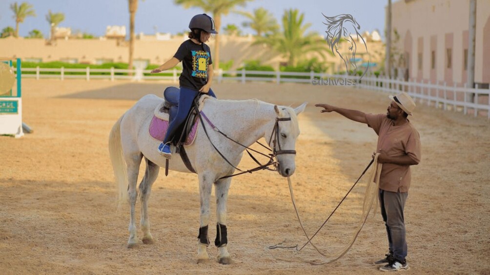 Picture 25 for Activity Sharm El Shiekh: Beach and Desert Horse Riding Tour